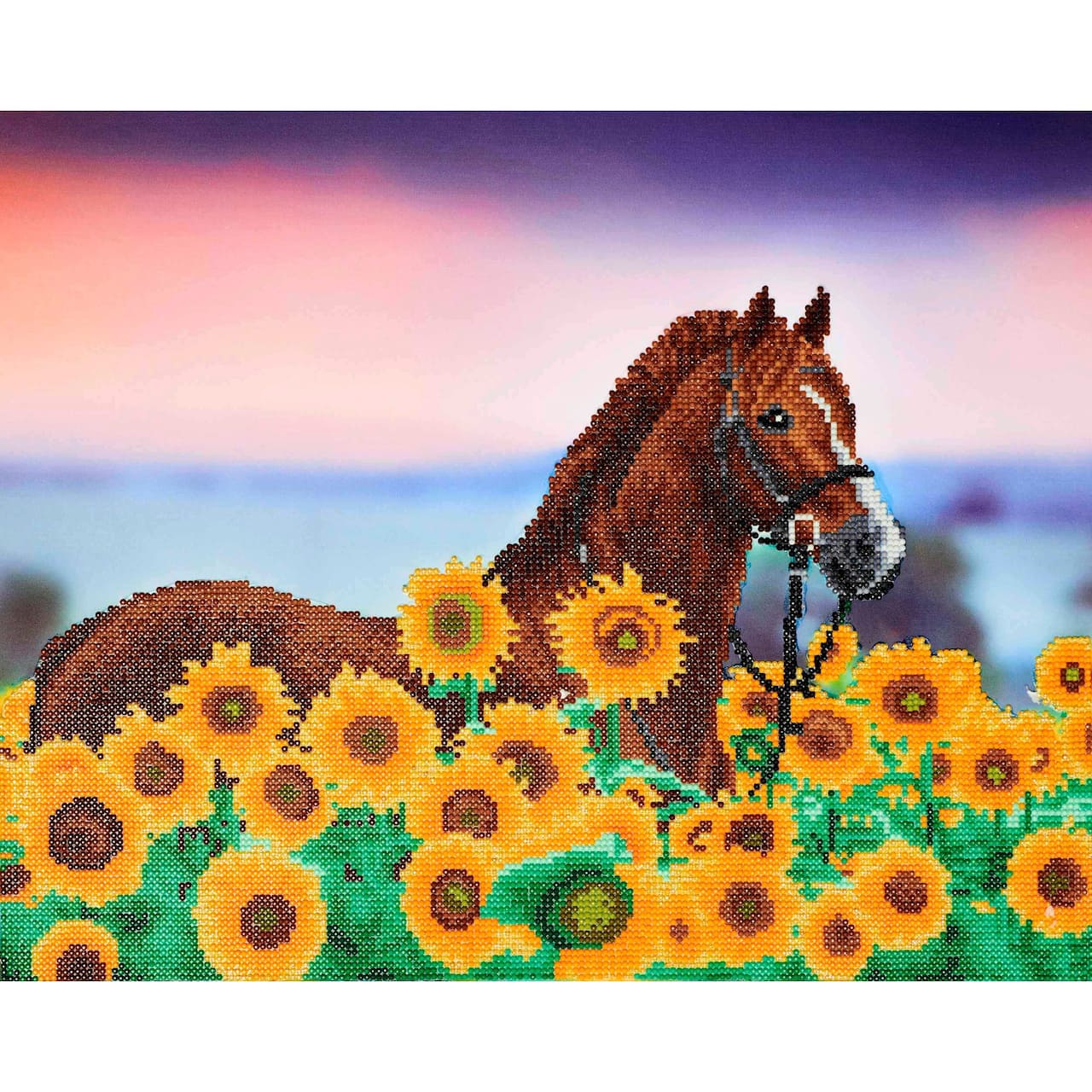 Diamond Art Advanced Sunflower Horse Kit